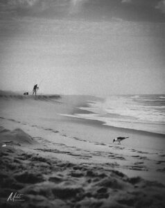 Human-fishing-bird-eating-insects-beach-black&white-beachphoto